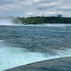 Meet your Posher, Anu